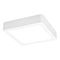 Rabalux - LED Laevalgusti LED/24W/230V 22x22 cm