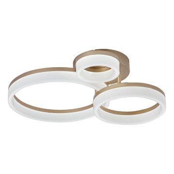 Rabalux - LED Laevalgusti LED/24W/230V 3000/4000/6500K kuldne 38x51 cm