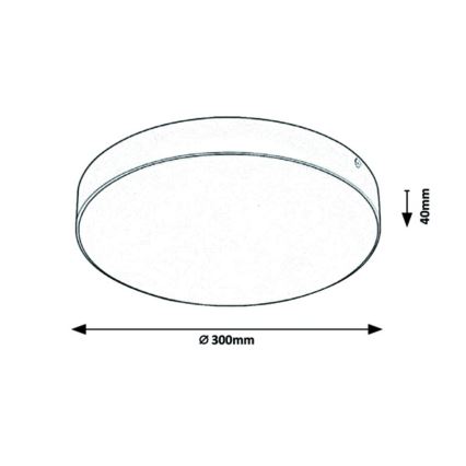 Rabalux - LED Laevalgusti LED/24W/230V 3000-6000K IP44 valge