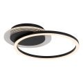 Rabalux - LED laevalgusti LED/24W/230V 3000K 33x40 cm