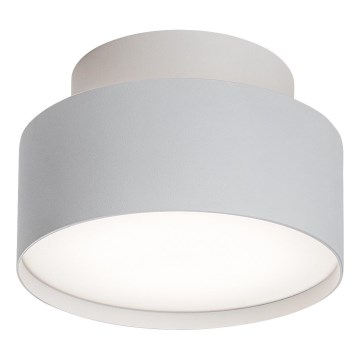 Rabalux - LED Laevalgusti LED/24W/230V 3000K valge