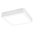 Rabalux - LED Laevalgusti LED/24W/230V 4000K 22x22 cm valge