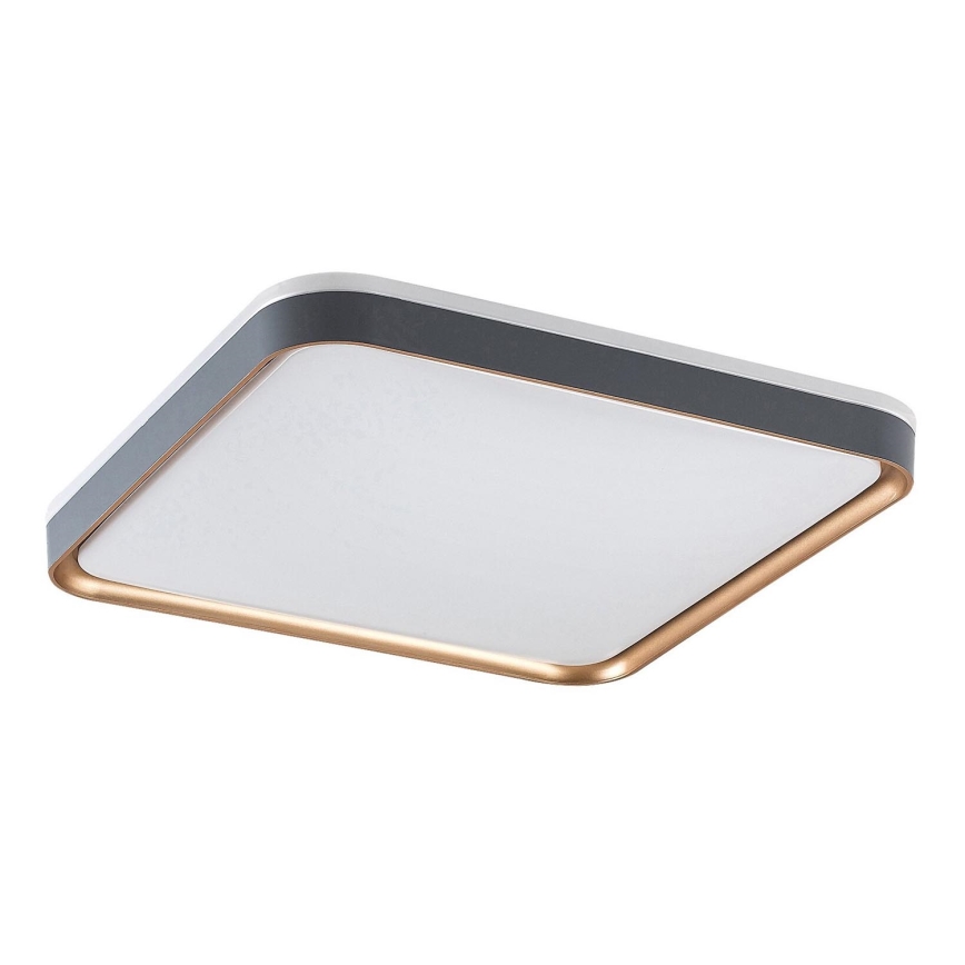 Rabalux - LED laevalgusti LED/26W/230V 3000K 39,5x39,5 cm