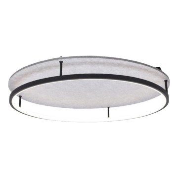 Rabalux - LED Laevalgusti LED/40W/230V 3000/4000K