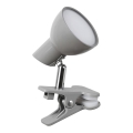 Rabalux - LED Lamp kinnitusklambriga LED/5W/230V