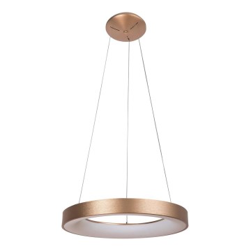 Rabalux - LED Lühter CARMELLA LED/50W/230V d. 60 cm