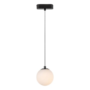 Rabalux - LED Lühter ühefaasilise rööbassüsteemi jaoks LED/5W/230V 3000K must