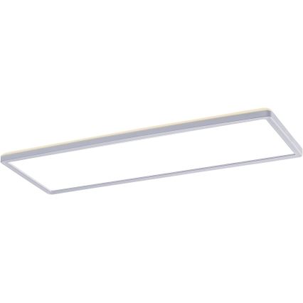 Rabalux - LED Paneel pinnapaigalduseks LED/22W/230V