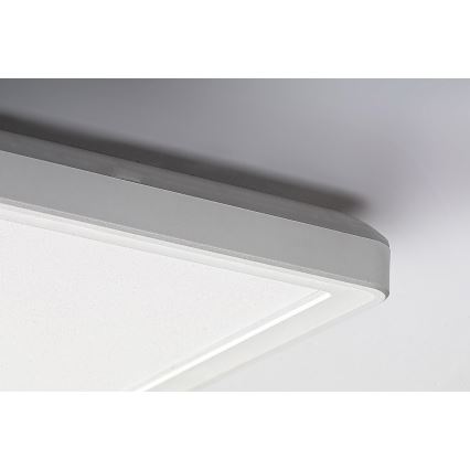 Rabalux - LED Paneel pinnapaigalduseks LED/22W/230V