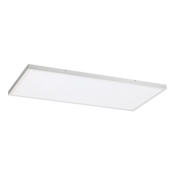 Rabalux - LED Pinnale kinnitatav valguspaneel LED/80W/230V 4000K 120x60 cm