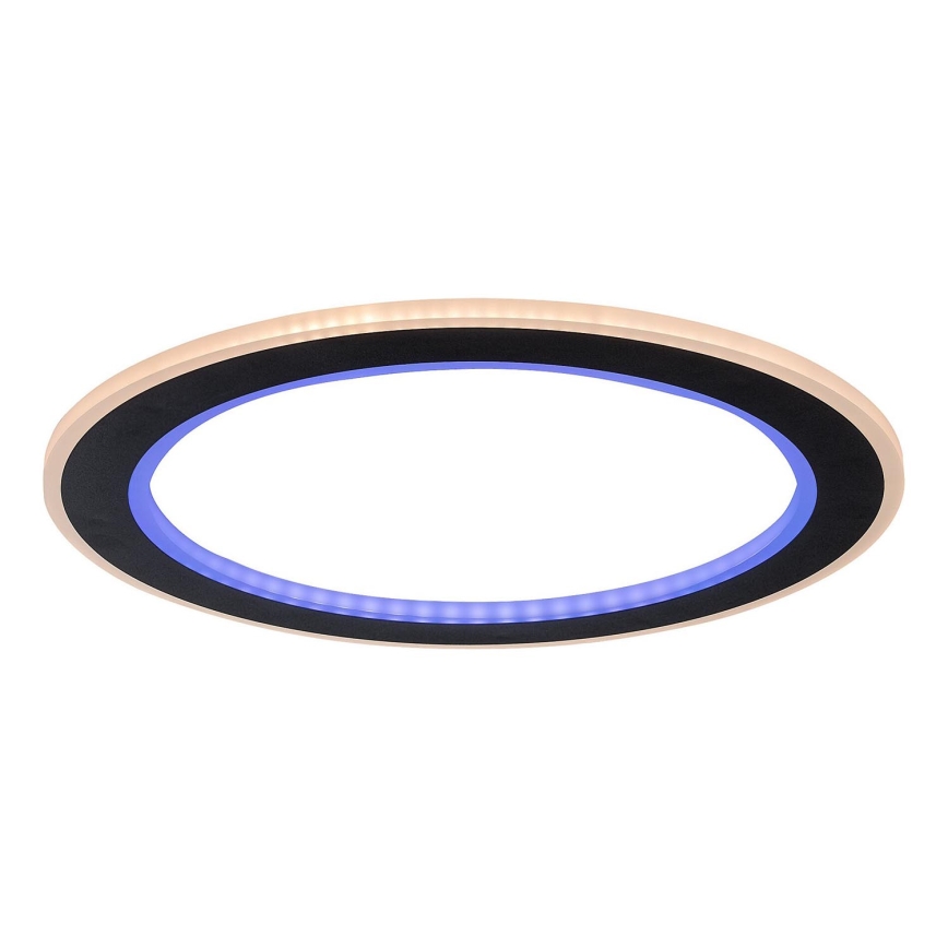 Rabalux - LED RGB hämardatav laelamp LED/22W/230V 3000-6500K Ø 45 cm + kaugjuhtimispult