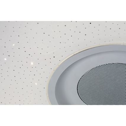 Rabalux - LED RGB Hämardatav laevalgusti kõlariga LED/18W/230V 3000-6000K Bluetooth +pult