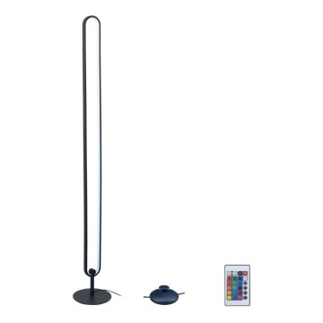 Rabalux - LED RGB Põrandalamp LED/19W/230V + kaugjuhtimispult