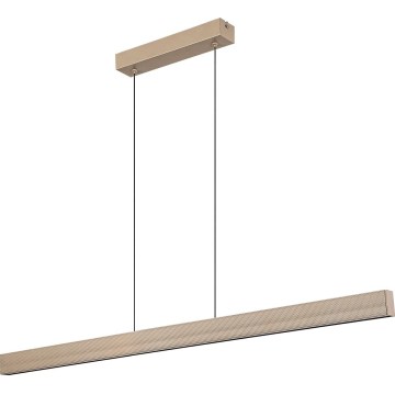 Rabalux - LED rippvalgusti kaabliga LED/19W/230V 4000K beež