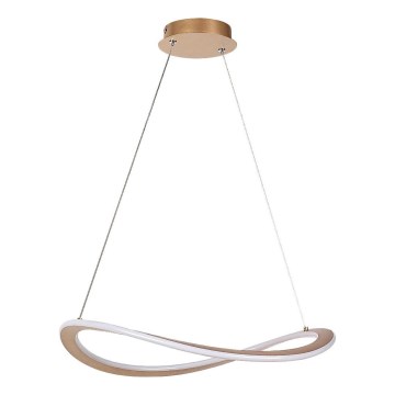 Rabalux - LED-rippvalgusti kaabliga LED/40W/230V 3000K