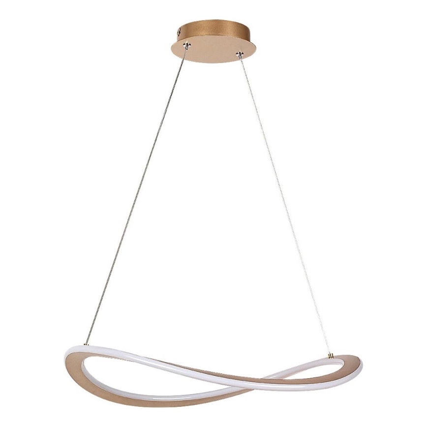 Rabalux - LED-rippvalgusti kaabliga LED/40W/230V 3000K