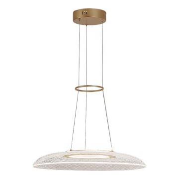 Rabalux - LED-rippvalgusti kaablil LED/24W/230V 3000K