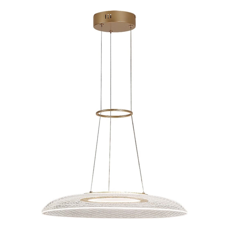 Rabalux - LED-rippvalgusti kaablil LED/24W/230V 3000K