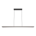 Rabalux - LED rippvalgusti kaablil LED/40W/230V 3000K