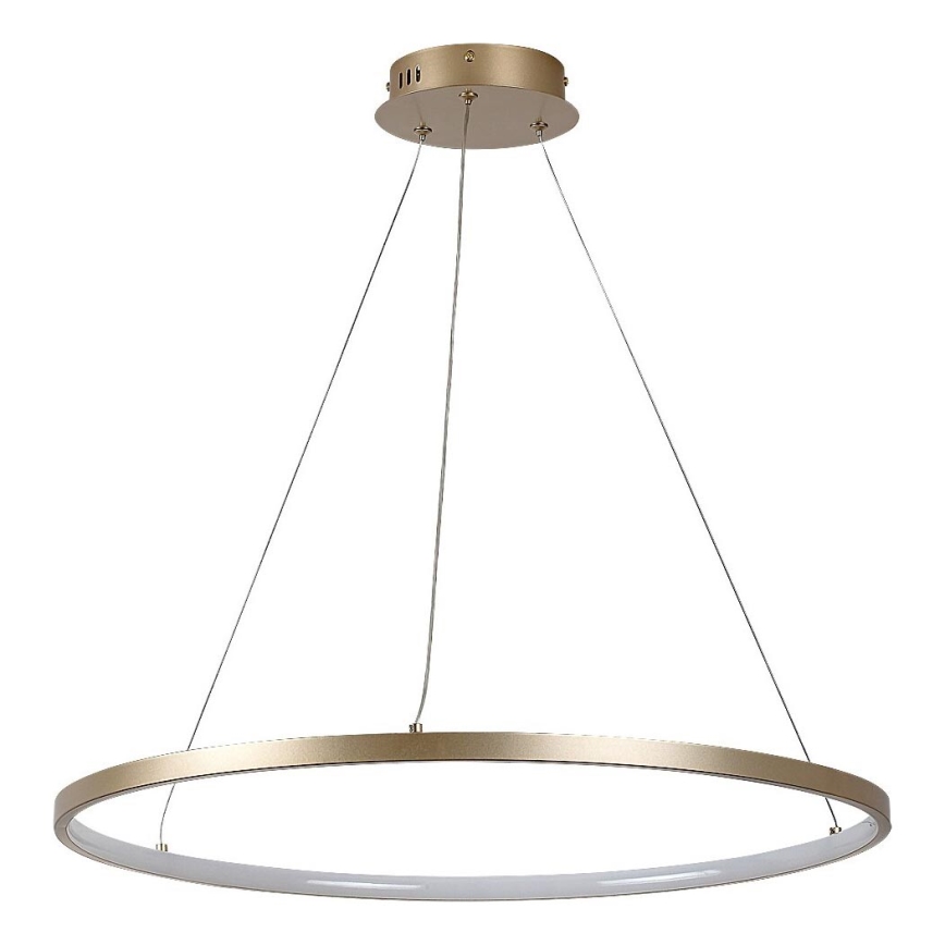 Rabalux - LED-rippvalgusti kaablil LED/55W/230V 3000K