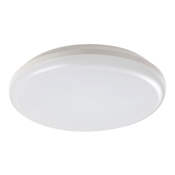 Rabalux - LED Väli laevalgusti LED/24W/230V IP64