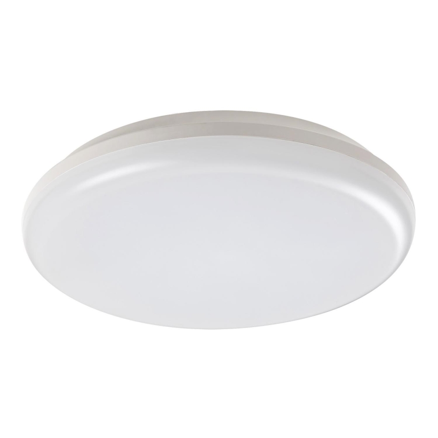 Rabalux - LED Väli laevalgusti LED/24W/230V IP64