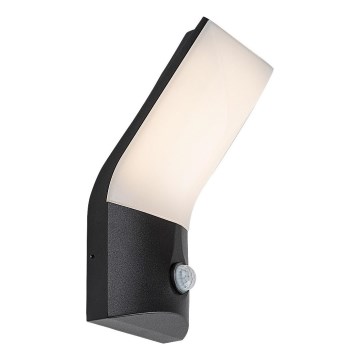 Rabalux - LED Väli seinavalgusti koos anduriga LED/10W/230V IP54