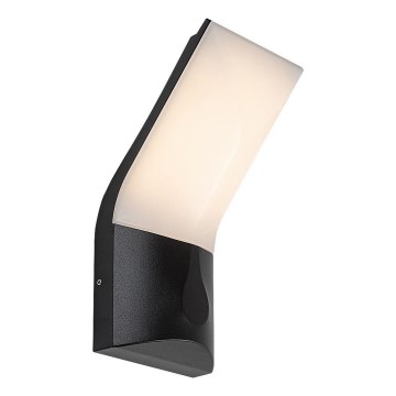 Rabalux - LED Väli seinavalgusti LED/10W/230V IP54