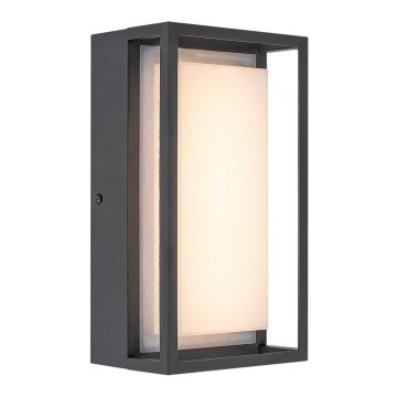 Rabalux - LED Väli seinavalgusti LED/6,5W/230V IP65