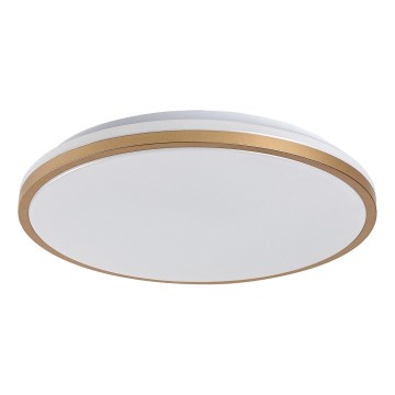 Rabalux - LED vannitoa laelamp LED/18W/230V IP44, läbimõõt 34 cm