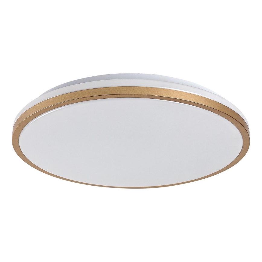 Rabalux - LED vannitoa laelamp LED/18W/230V IP44, läbimõõt 34 cm