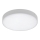 Rabalux - LED vannitoa laevalgusti LED/18W/230V 3000-6000K IP44 valge läbimõõt 17,5 cm