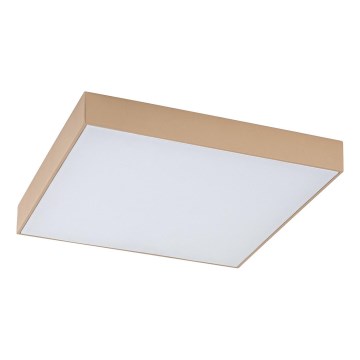 Rabalux - LED-vannitoa laevalgusti LED/24W/230V 2800/4000/6000K IP44