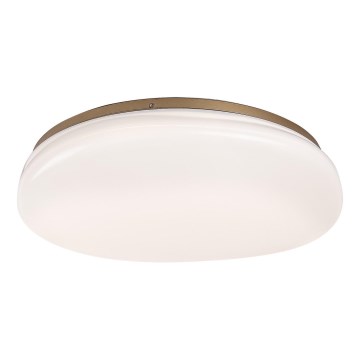 Rabalux - LED vannitoa laevalgusti LED/24W/230V IP44 läbimõõt 41 cm