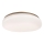 Rabalux - LED vannitoa laevalgusti LED/24W/230V IP44 läbimõõt 41 cm