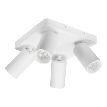 Rabalux - Suunatav laevalgusti 4xGU10/7W/230V valge