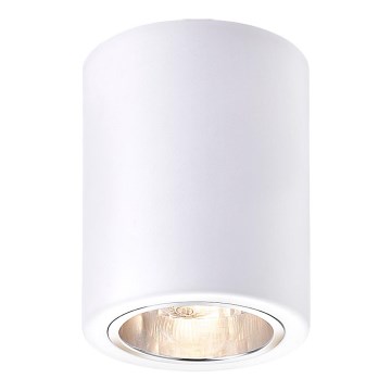 Rabalux - suunatav spottvalgusti 1xE27/25W/230V valge