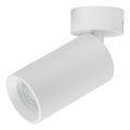 Rabalux - suunatav valgusti 1xGU10/7W/230V, valge
