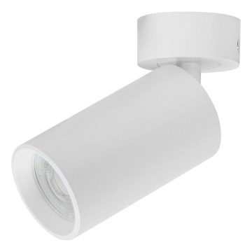 Rabalux - suunatav valgusti 1xGU10/7W/230V, valge