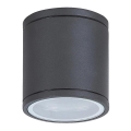 Rabalux - Väli laevalgusti 1xGU10/35W/230V IP54