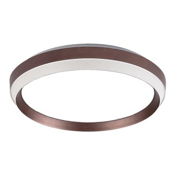 Rabalux - varuosa laelambile FONTANA