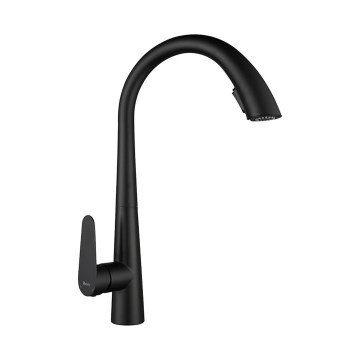 REA-B5313 - Köögisegisti ROSS 43 cm väljatõmmatava dušiga, must