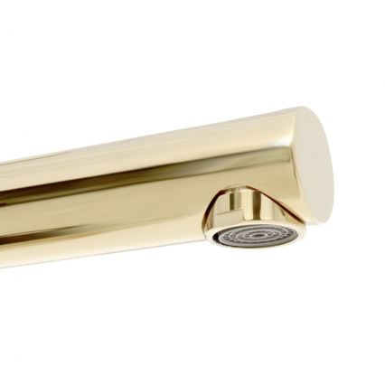 REA-B8803 - Valamusegisti TESS 31,5 cm kuldne