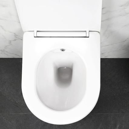 REA-C9701 - Seinale kinnitatav WC bideepritsiga ja istumiskaanega CARLO LUX keraamika/valge