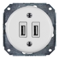 Reblig - portselanist retro USB-seinakontakt, raamita, 2× USB-A, valge