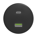 Reblig - Retro USB-pistikupesa A+C raamita antratsiit