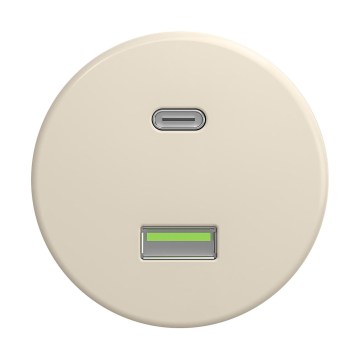 Reblig - retro USB-pistikupesa A+C raamita beež