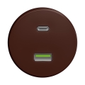 Reblig - Retro USB-pistikupesa A+C raamita, pruun