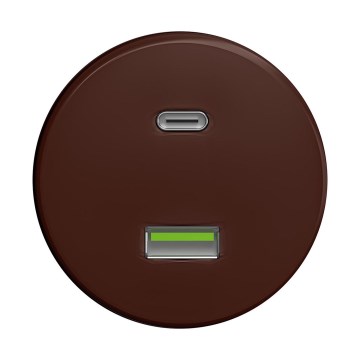 Reblig - Retro USB-pistikupesa A+C raamita, pruun