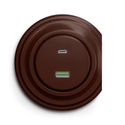 Reblig - Retro USB-pistikupesa A+C raamita, pruun